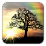 sun rise live wallpaper - free android application logo